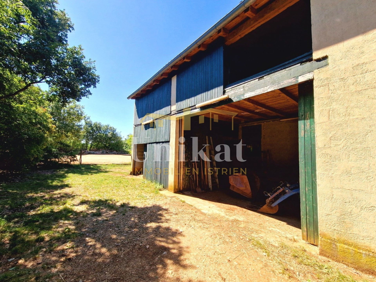 Avtentično posestvo s kamnito hišo in velikim zemljiščem